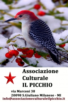  - Assoc.Culturale IL PICCHIO